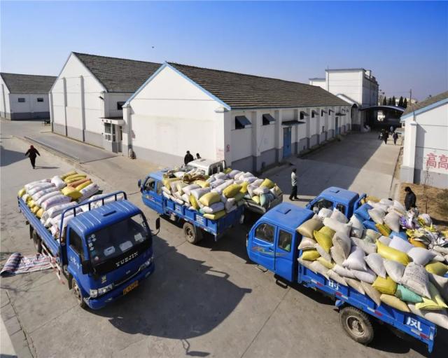 迎接第39個(gè)世界糧食日,市糧食收儲(chǔ)中心這樣做&hellip;