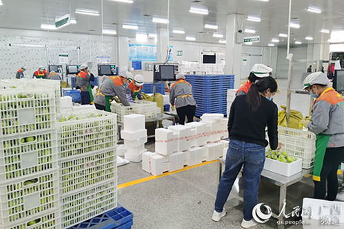 廣西金融投資集團助力中小微企業(yè)渡難關(guān)